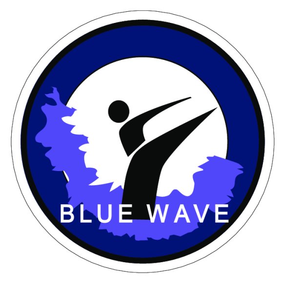 Blue Wave Martial Arts